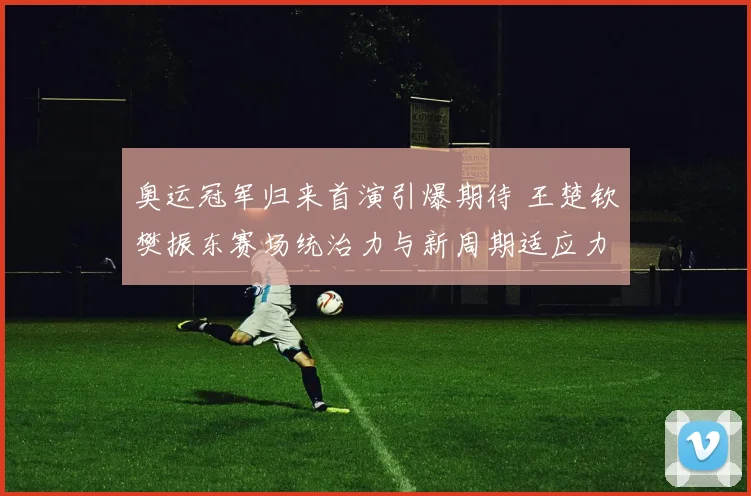 奥运冠军归来首演引爆期待 王楚钦樊振东赛场统治力与新周期适应力深度比对观察