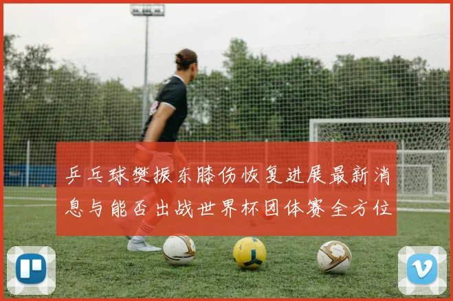 乒乓球樊振东膝伤恢复进展最新消息与能否出战世界杯团体赛全方位前瞻